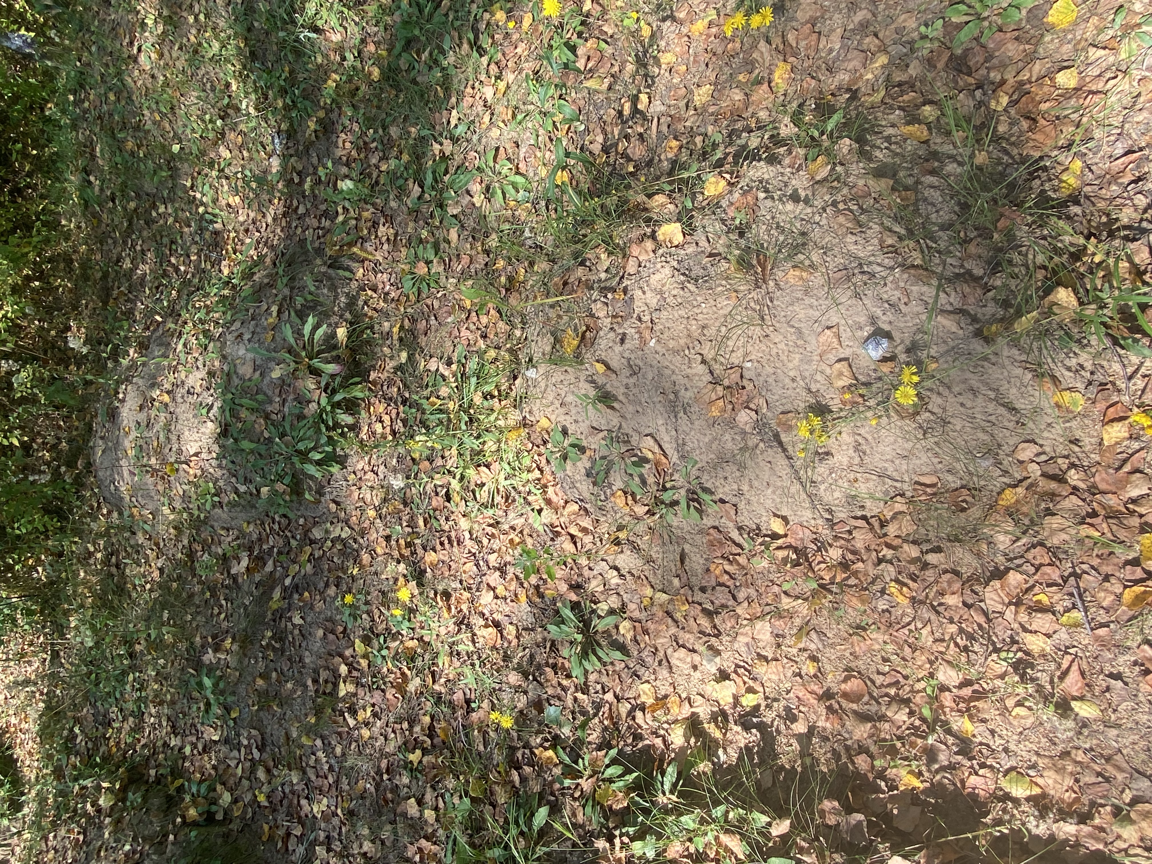 Фотография надгробия